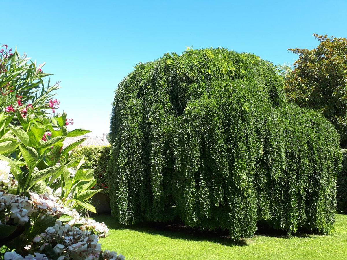 Maison Ruisseau L'Eau Blanche Léognan 외부 사진